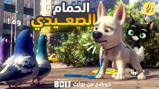 كرتون بولت مدبلج  كرتون بولت مدبلج