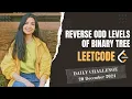 2415 Reverse Odd Levels of Binary Tree Leetcode Daily POTD 20 Dec 2024 Java Hindi