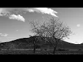 Perfect day cover by Al Green