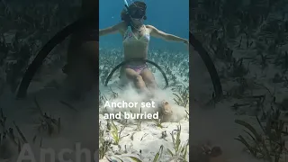 How to check your anchor / Dive on your anchor #sailing #anchoring #sailing #sailingfamily #boat