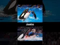 Download Lagu Jessica last video…#jessica #dolfin #shortvideo #viralvideo #viralshorts