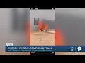 Arizona Department of Corrections responds to social media s showing violence