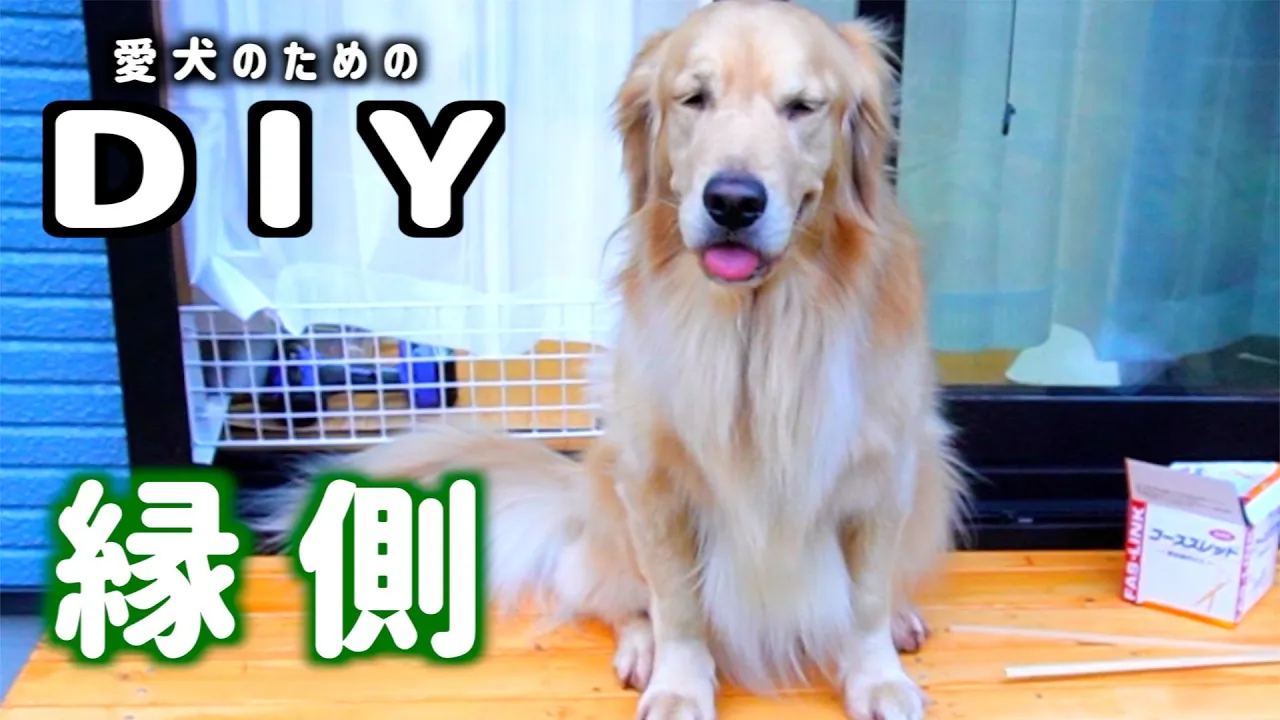 【庭DIY]】愛犬のために１万円未満で縁側作る！