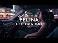 Felina - Hector & Tito