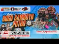 Download Lagu Live Jaranan ROGO SAMBOYO PUTRO Live Sendangrejo Banjardowo Jombang L-JHA AUDIO