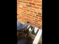 Installing A Window Well Guard