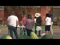 News 3 New Mexico - Portales Farmers Market