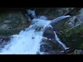 Jeremy Soule — ''In The Forests of Tamriel'' (Vol. 2)  [Forest Pine - Day-B - BSA] (Skyrim)