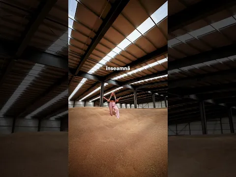 Unii urcă pe Everest, noi urcăm pe muntele nostru de grâu 🥺😅