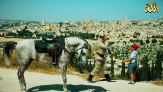 نشيد رائع قصة منع الأذان في دولة الخلافة 