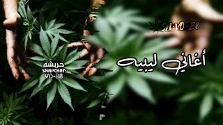 اغاني ليبيه   لك وقت عني ياقمر شوقتني البدر طله عرباوية   مطلوب اكثر شي      دندنها