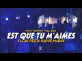 PARTY SENTAK - EST QUE TU M'AIMES X KALAU PESTA HARUS MABUK - THENDO CHASTELO REMIX 2024