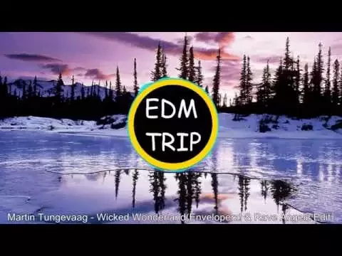 Download MP3 [Hands Up] Martin Tungevaag - Wicked Wonderland (Enveloperz! & Rave Angelz Bootleg Edit)