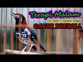 Download Lagu TERAPI MALAM!! PANCINGAN AMPUH ATASI ANIS KEMBANG BISU MALAS BUNYI CEPAT GACOR NGEROL