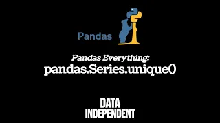 Pandas Unique pd Series unique