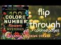 Flip through 100 color by number flowers mysteries Coloring book by pixelcolorist