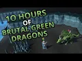 Loot From 10 Hours Of Brutal Green Dragons