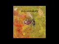 Download Lagu Baladesert - insecta (Full Album 2025)