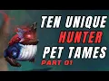 10 Unique Hunter Pet Tames 4K World of Warcraft Dragonflight