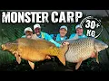 Download Lagu Gábor Döme - MONSTERKARPER