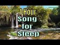 Download Lagu 😴Song for Sleep - For When It Rains by Juan Sánchez 🇪🇸