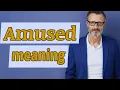 Amused Definition of amused