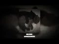 Download Lagu melting - kali uchis (sped up \u0026 reverb)