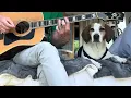 Forgot to Post This One No Rain Lesson - Blind Melon