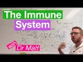 The Immune System Overview