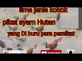 Download Lagu Kokok pikat paling di benci Ayam Hutan Merah Sumatra,#pikatayamhutan,#ayamhutan ,#suarapikatampuh