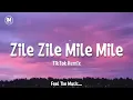 Download Lagu Zile Zile Zile  Mile Mile TikTok Remix Song 🎶