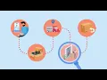 What is Order Fulfillment