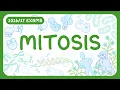 GCSE Biology - Mitosis Chromosomes Cell Division Cytokinesis exams