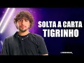 Download Lagu NATTAN - SOLTA A CARTA TIGRINHO (REPERTÓRIO VERÃO 2025)