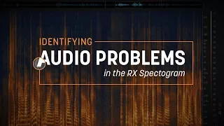 Identifying Problems in the RX Spectrogram