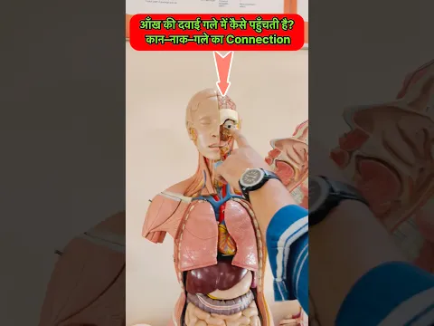 आँख की दवाई गले में कैसे पहुँचती है? कान–नाक–गले का Connection #biology #ear #nose #throat