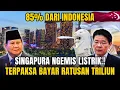 Indonesia Jadi Raja Energi! Singapura Sampai Ngemis Pasok 85% Listrik