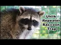 Download Lagu Today For Raccoon Trap Monday. The Uhlik Repeater Raccoon Trap. Mousetrap Monday.