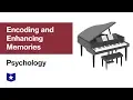 Encoding and Enhancing Memories Psychology