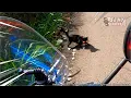 Download Lagu Motovlog Hampir Double Kill Nabrak Kucing 😅 #Short