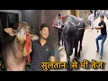 Download Lagu Ye to sultan se bhi zyada garm ho raha hai || @Bull.Rider-Vlogs Download Lagu Ye to sultan se bhi zyada garm ho raha hai || @Bull.Rider-Vlogs