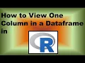 How to View One Column in a Dataframe in R - Demonstration