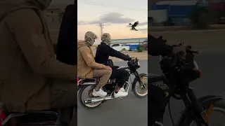 يالبيت الابيض صاح صوت الرافضية يلاه نجرب حضنة الفديو الاصلي تفاعلوا الثور الساروت الجولاني 