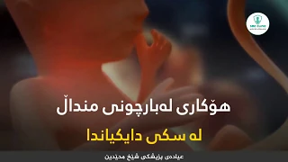 هۆکارەکانی لەبارچوونی منداڵ لە سکی دایکیاندا  هۆکارەکانی لەبارچوونی منداڵ لە سکی دایکیاندا