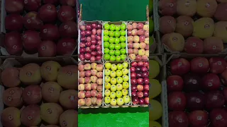 الحياة متل البحر فيها المد والجزر فلا تغرق في لحظة ضعف فالقوة تولد من الأعماق ميدلت العلم 