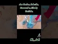 Download Lagu https://youtu.be/eaD-M5NS_0M?si=YWczsk_FxmkgkK-Y #amazing_village_fishing #castnetfishing #castnet
