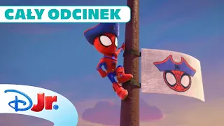 🏝️🕷️ Wyspa Pająka | Spidey i super-kumple [CAŁY ODCINEK] | Disney Junior Polska