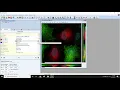 Autoquant deconvolution tutorial