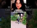 Download Lagu POSIZIONE DI TUTTE LE CHEST PER GLI ITEM NUOVI DI SCARLET FIERCE #roblox #dresstoimpress