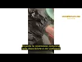 Recensione del Ferrino Unisex Zip Motion Overcoat Waterproof Pants